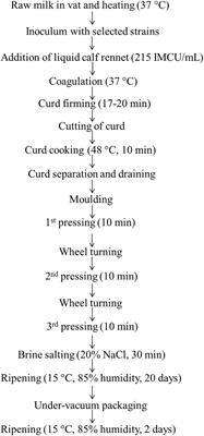 Production of Naturally γ-Aminobutyric Acid-Enriched Cheese Using the Dairy Strains Streptococcus thermophilus 84C and Lactobacillus brevis DSM 32386